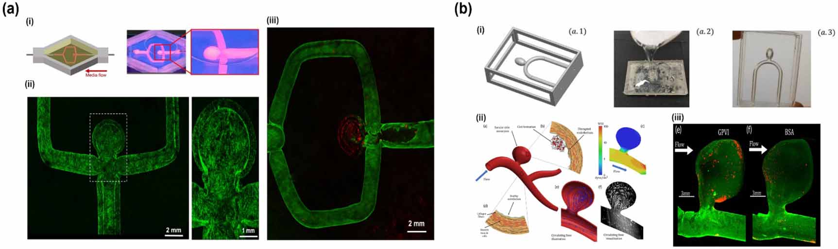 3D bioprinting technology for modeling vascular diseases and its ...