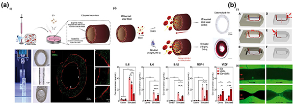 3D bioprinting technology for modeling vascular diseases and its ...