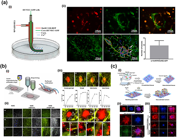 3D bioprinting technology for modeling vascular diseases and its ...