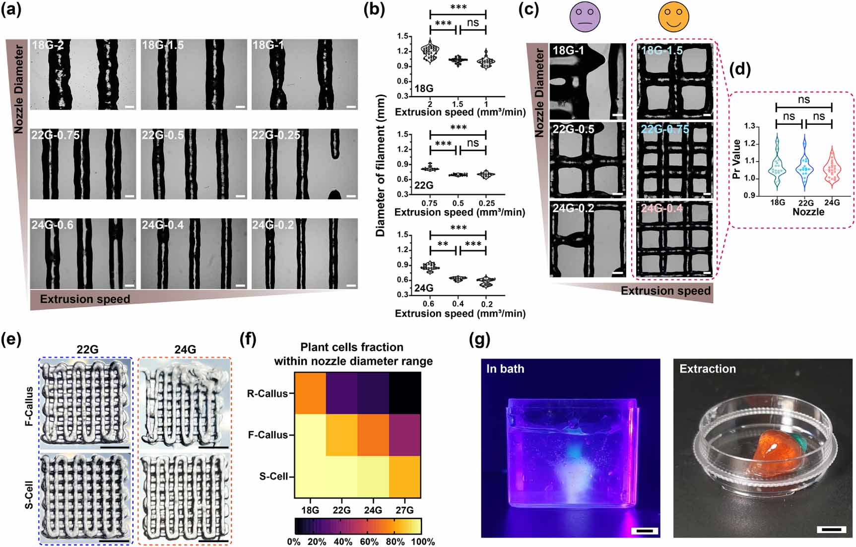 Optimizing extrusion-based 3D bioprinting of plant cells with enhanced ...