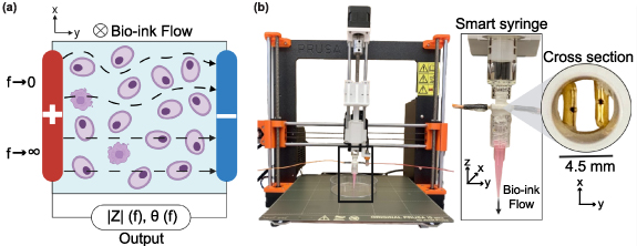 Real-time assessment of cell concentration and viability onboard a ...