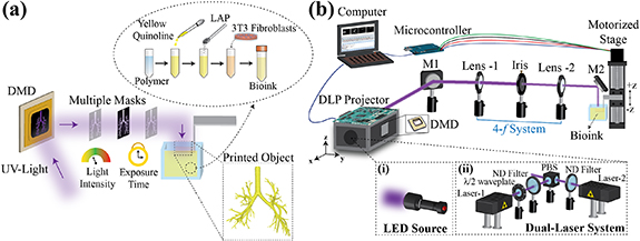 High-resolution bioprinting of complex bio-structures via engineering ...