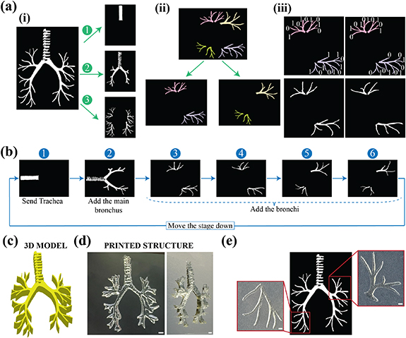 High-resolution bioprinting of complex bio-structures via engineering ...