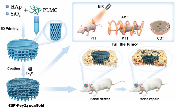 Multifunctional 4D printed shape memory composite scaffolds with ...