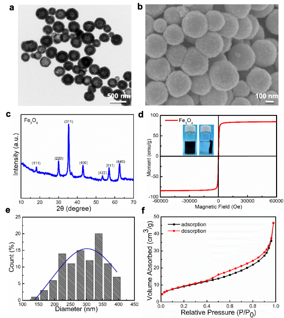 Multifunctional 4D printed shape memory composite scaffolds with ...