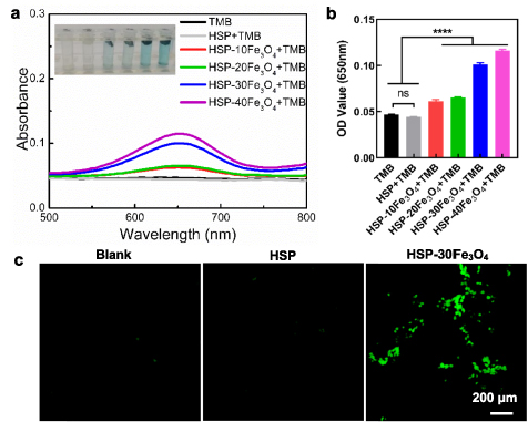 Multifunctional 4D printed shape memory composite scaffolds with ...