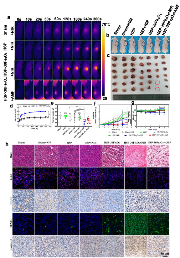 Multifunctional 4D printed shape memory composite scaffolds with ...