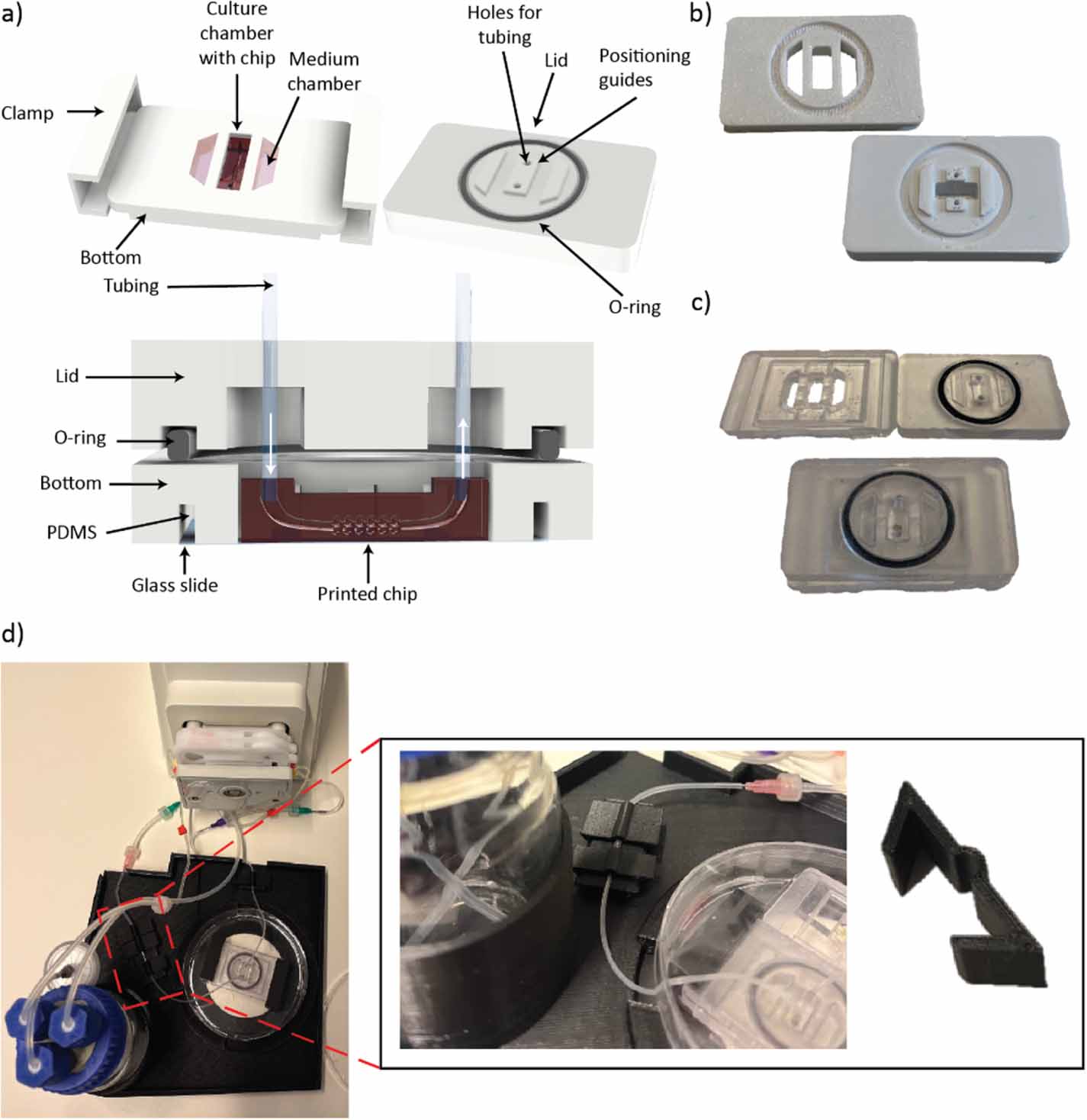 Development of a bioreactor and volumetric bioprinting protocol to ...
