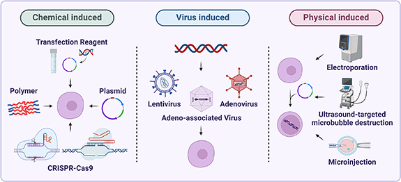 Genetically modified cell membrane proteins in tissue engineering and ...