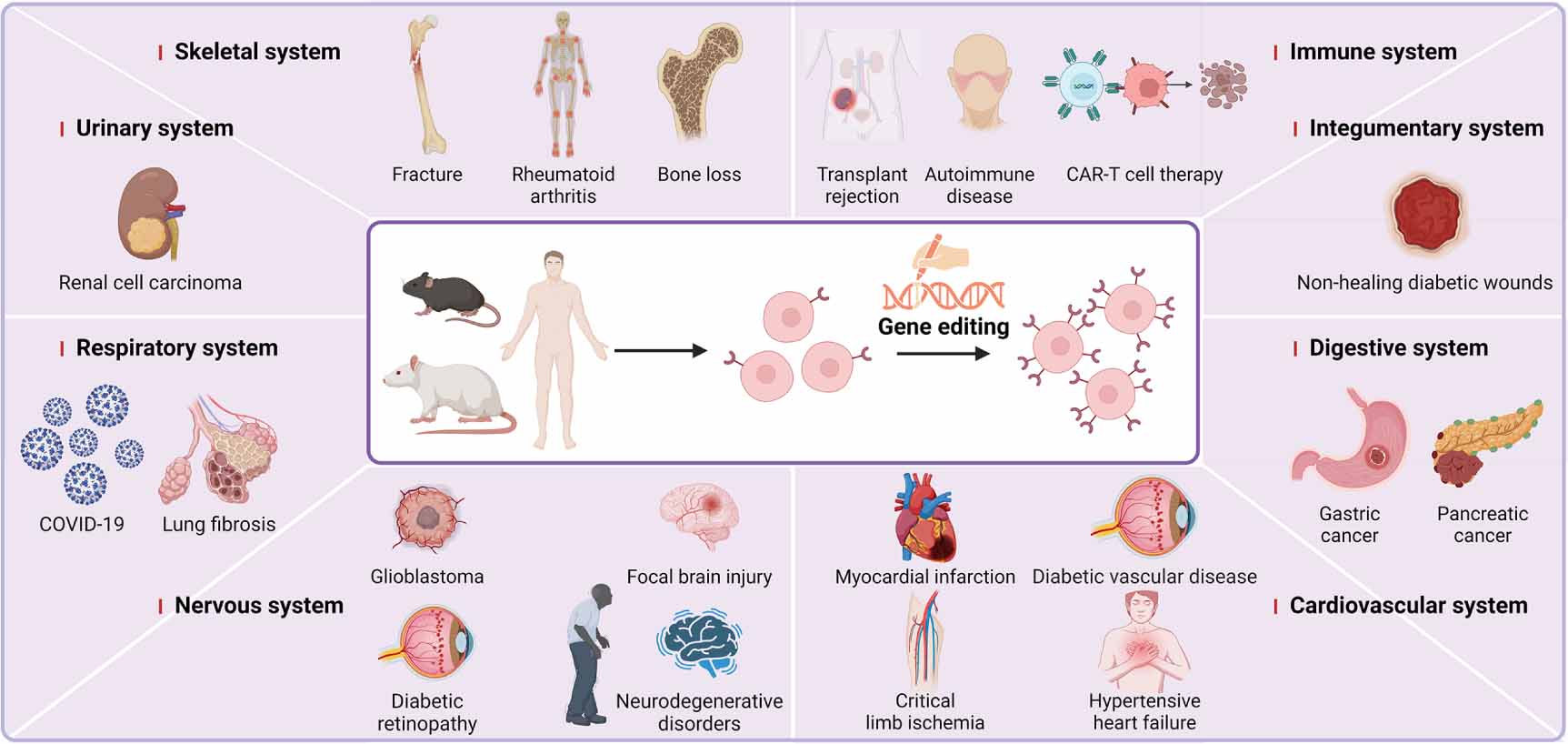 Genetically modified cell membrane proteins in tissue engineering and ...