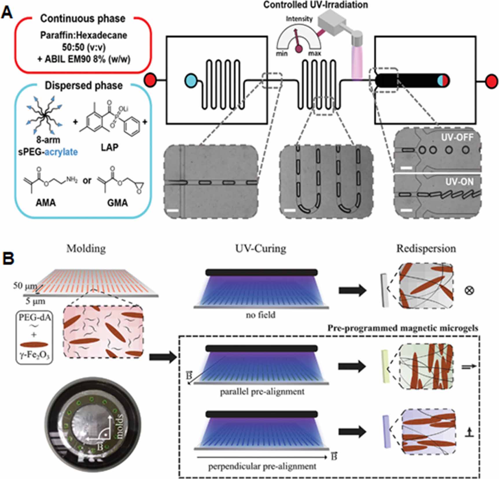 Microgels: from synthesis to tissue regeneration
