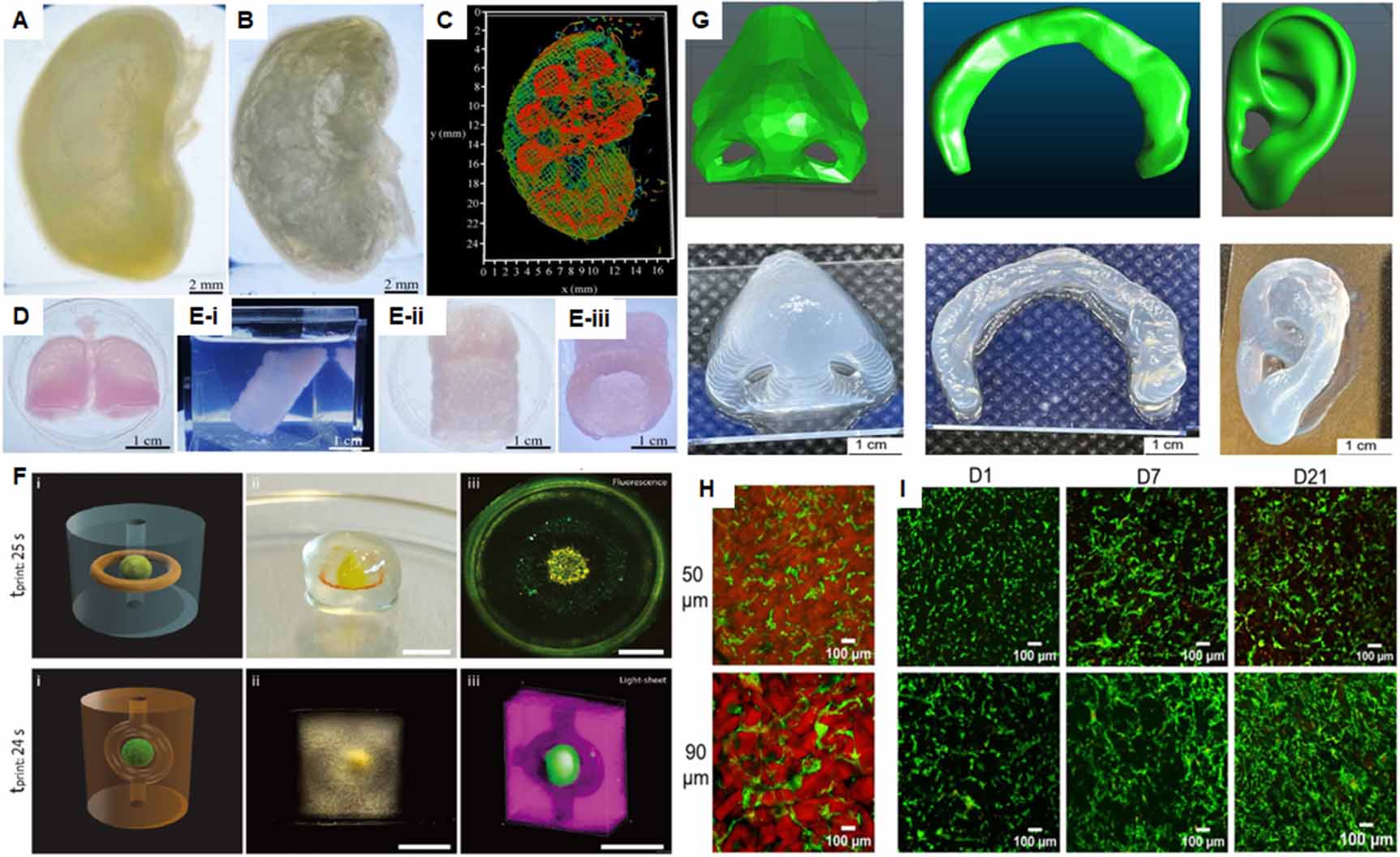 The Microsurgical Approaches… Microgels: from synthesis to tissue regeneration