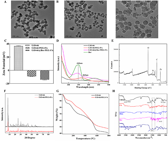 Multifunctional nanoplatform based on polyethylene glycol-folic