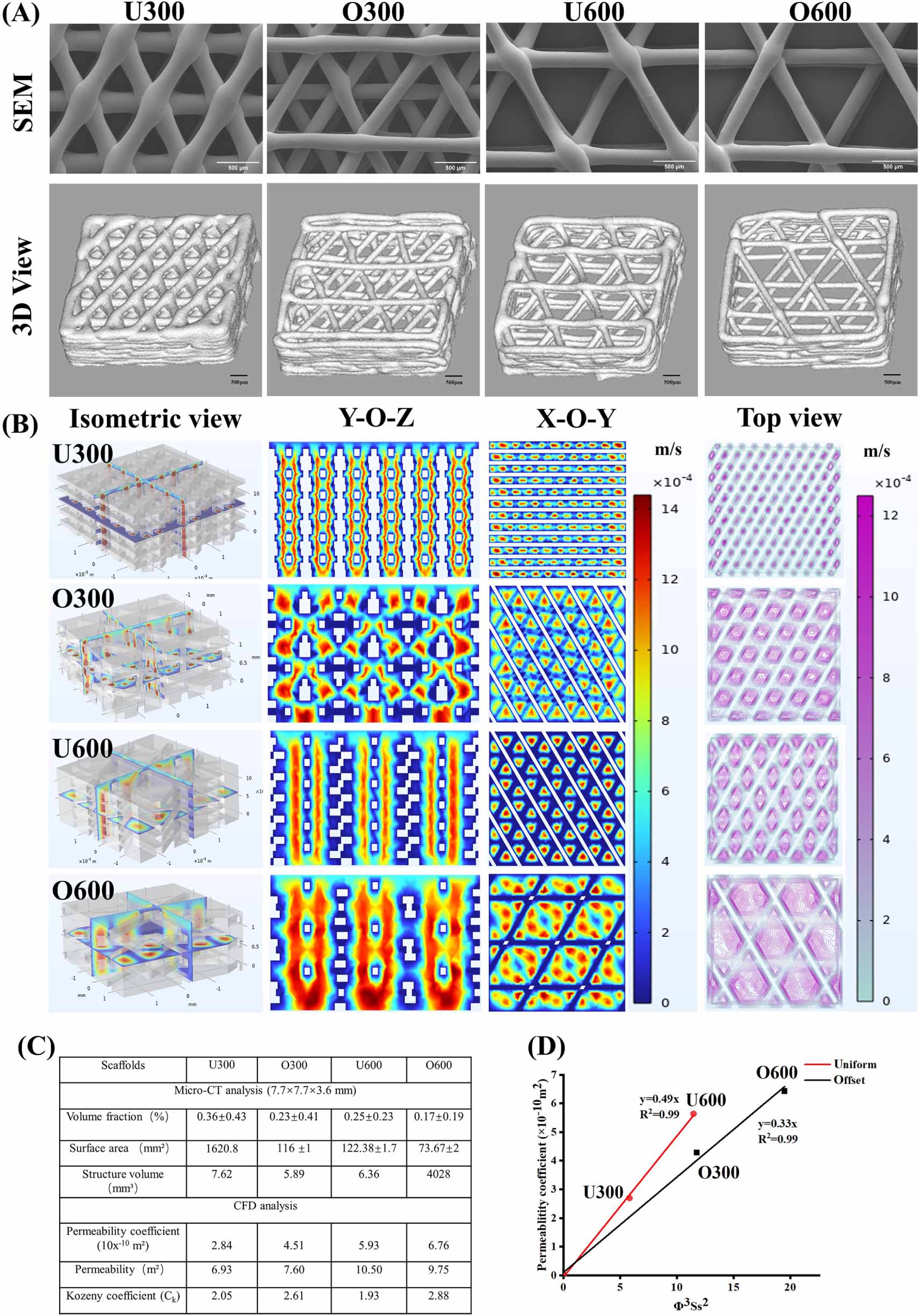 3D printed bioactive coated scaffolds boost osteogenesis and ...