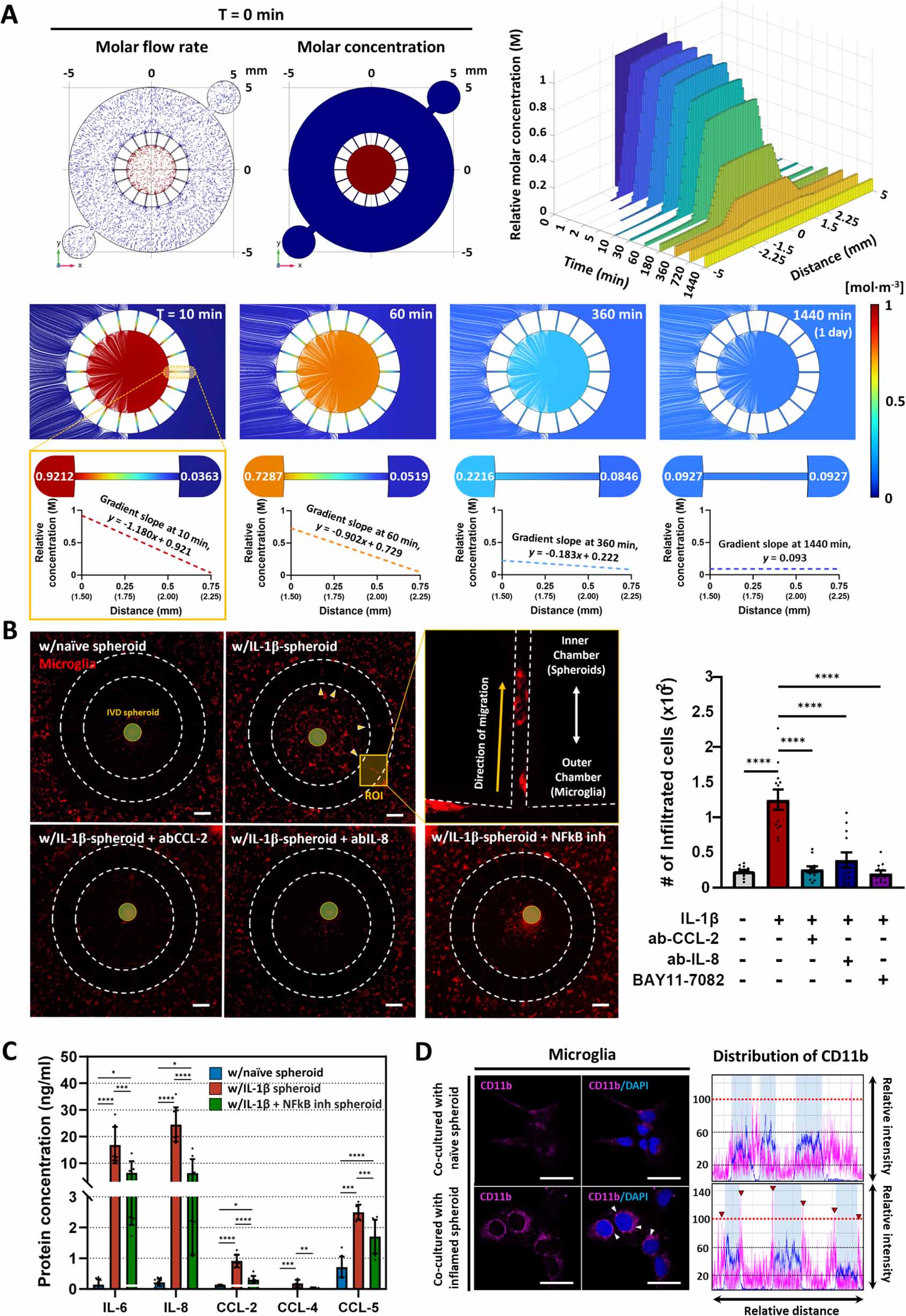 Intervertebral disc spheroids as an in vitro multicellular platform for ...