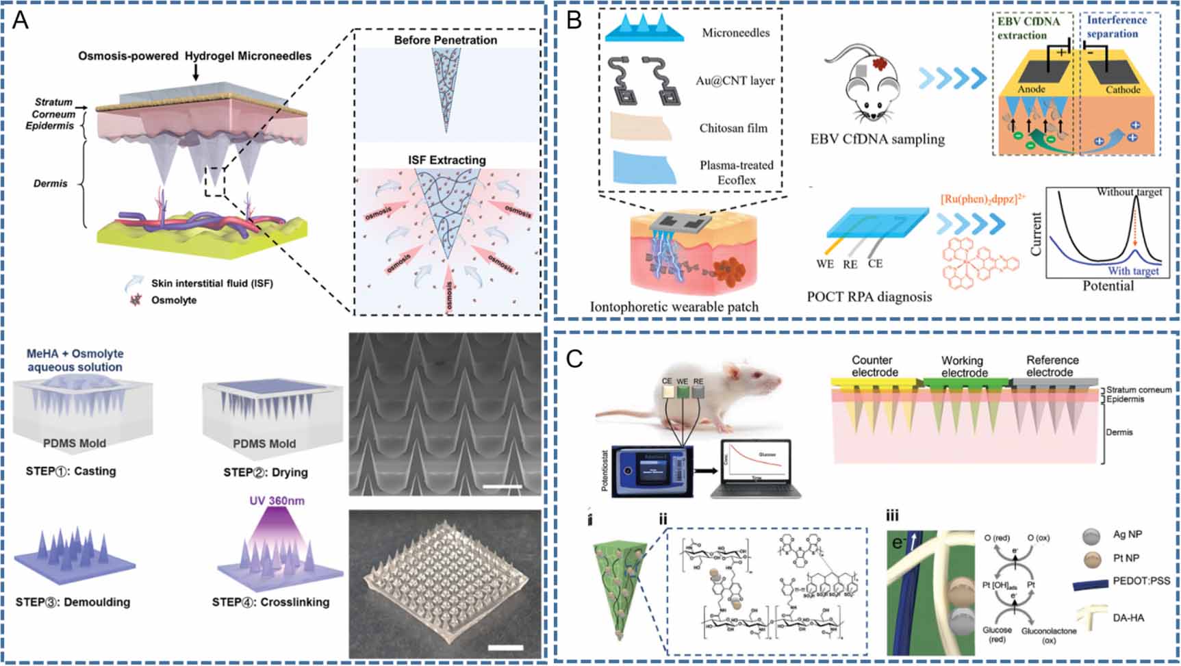 Review on engineered polymer microneedles for drug delivery and disease ...