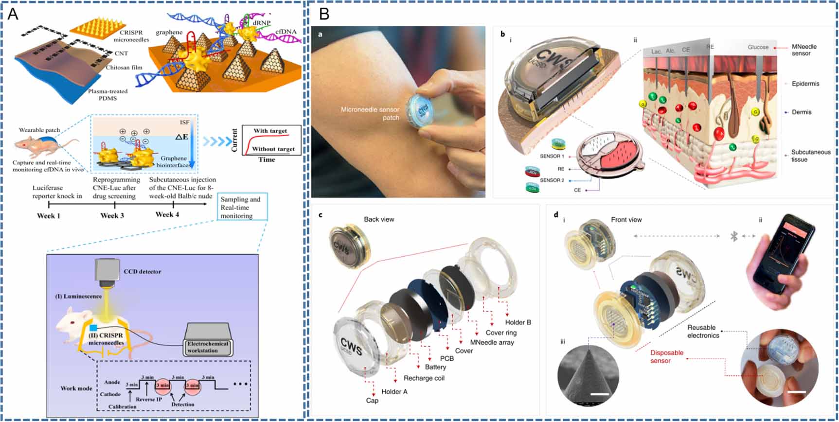 せあ 専用ページ Review on engineered polymer microneedles for drug delivery