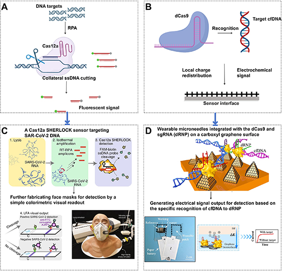 Genomics Example Device Genetically programmable wearable devices for precision physiological ...