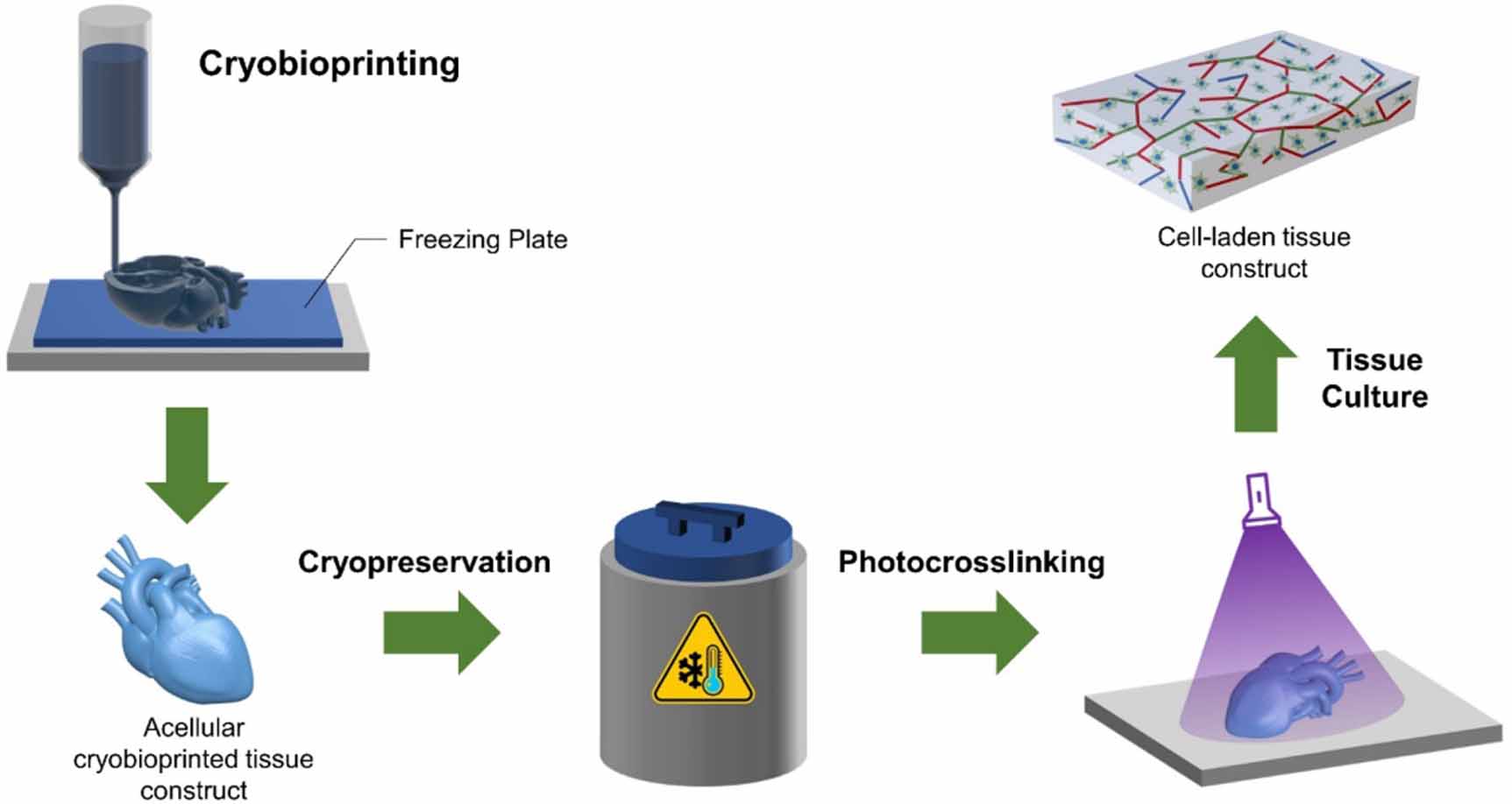 3D bioprinting in tissue engineering: current state-of-the-art and ...