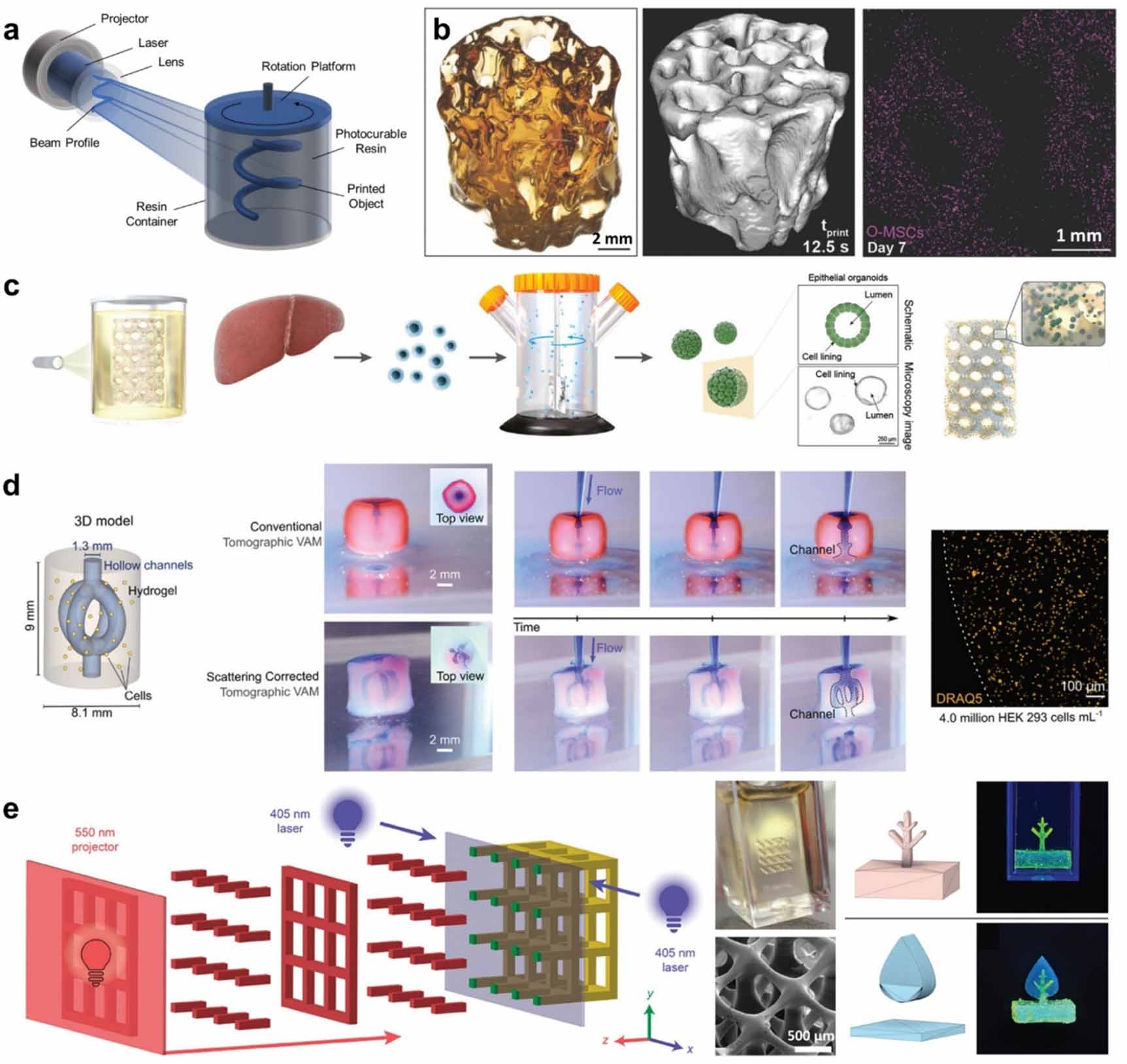 3D bioprinting in tissue engineering: current state-of-the-art and ...
