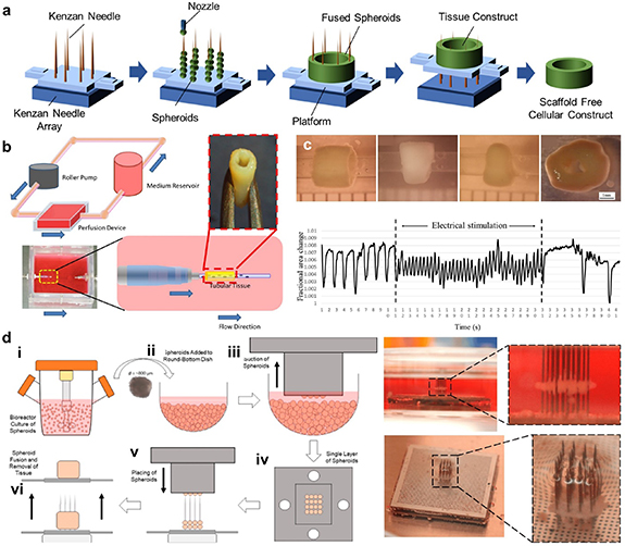 3D bioprinting in tissue engineering: current state-of-the-art and ...