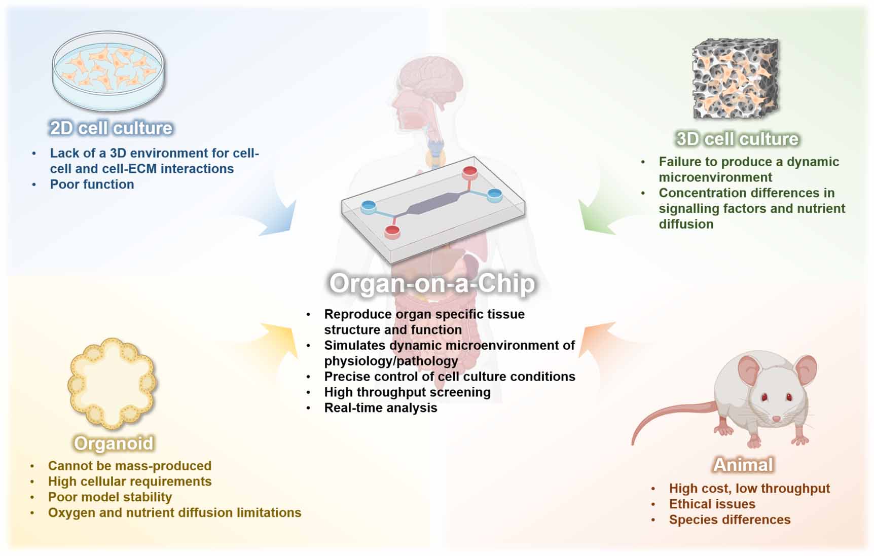 From organ to system: multiorgan-on-a-chip platforms as next-generation ...