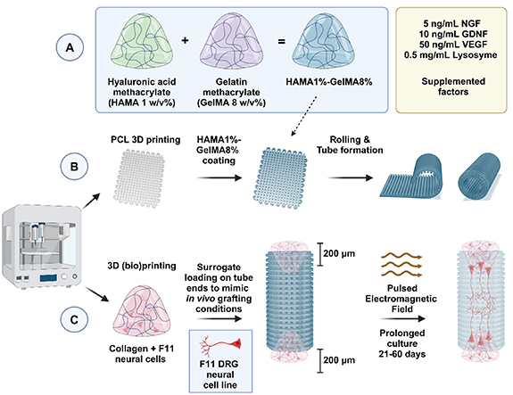 Figure 1. Refer to the following caption and surrounding text.