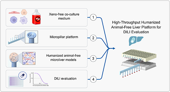 Liver-on-Micropillar: a humanized, animal-free platform for high ...