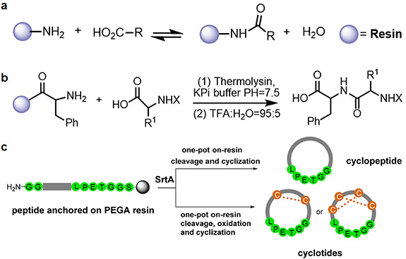 Peptide synthesis: a review of classical and emerging methods - IOPscience