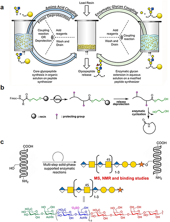 Peptide synthesis: a review of classical and emerging methods - IOPscience