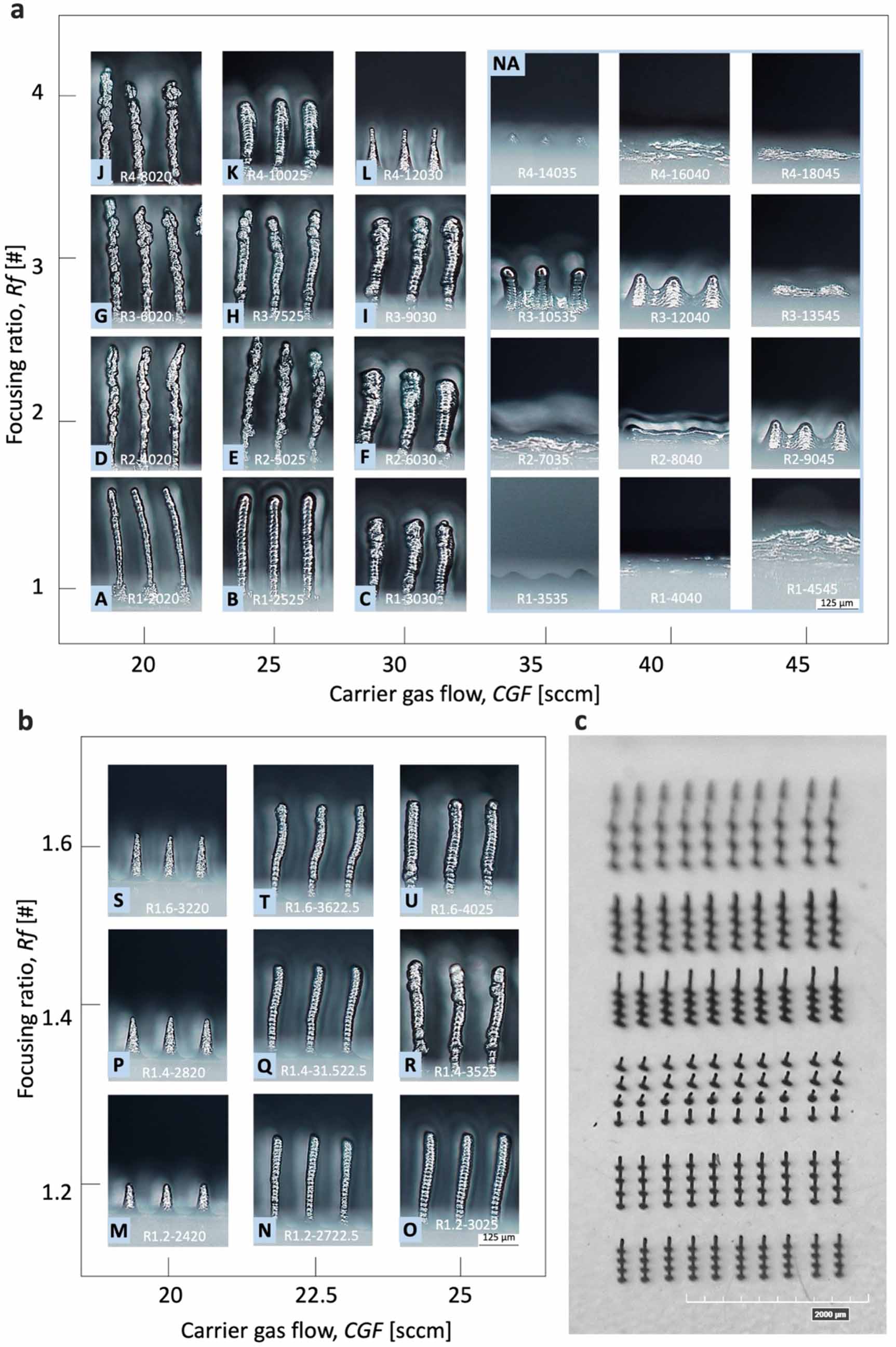Biofabrication of high aspect ratio, flexible, and bioconductive ...