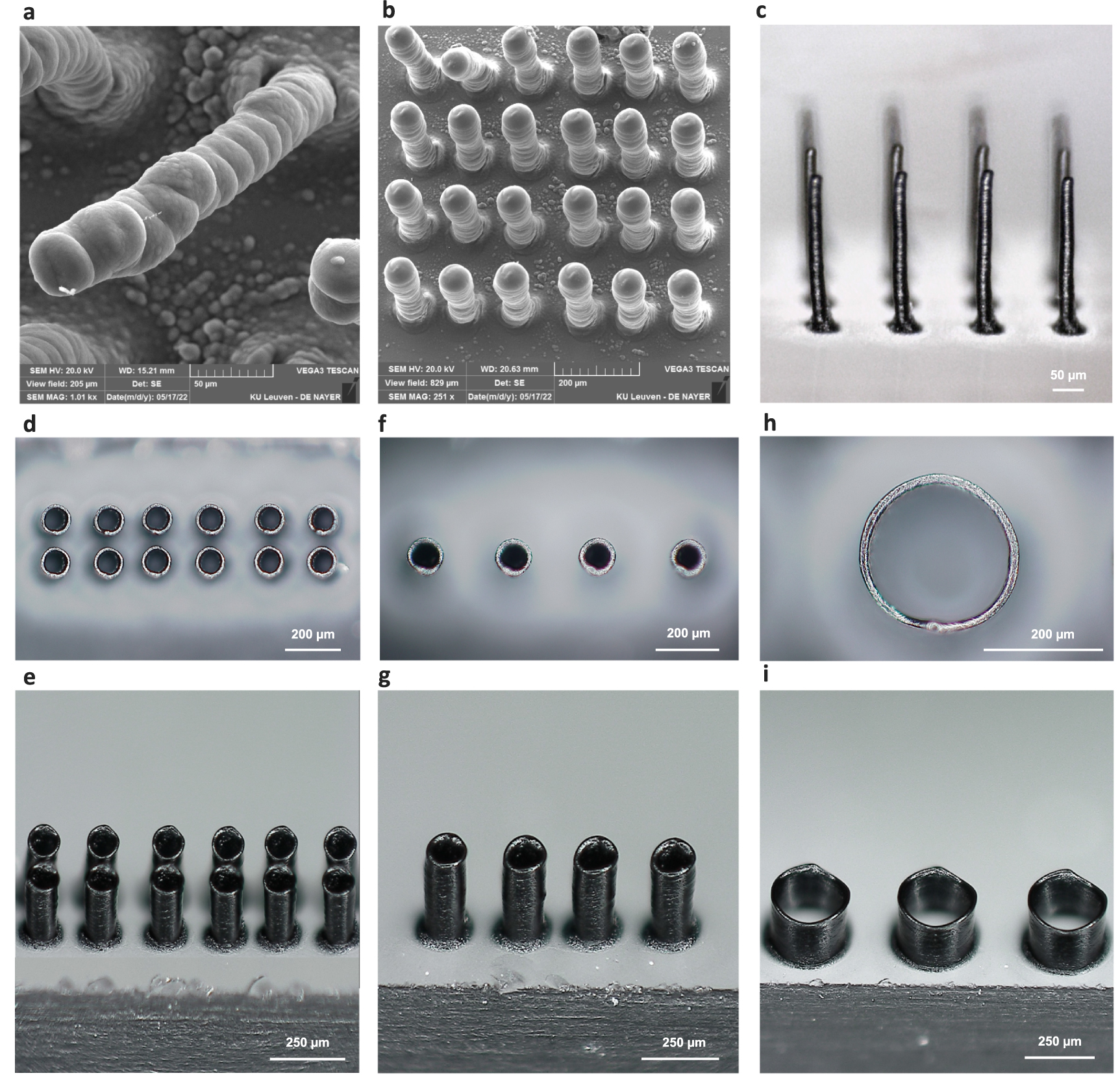 Biofabrication of high aspect ratio, flexible, and bioconductive ...