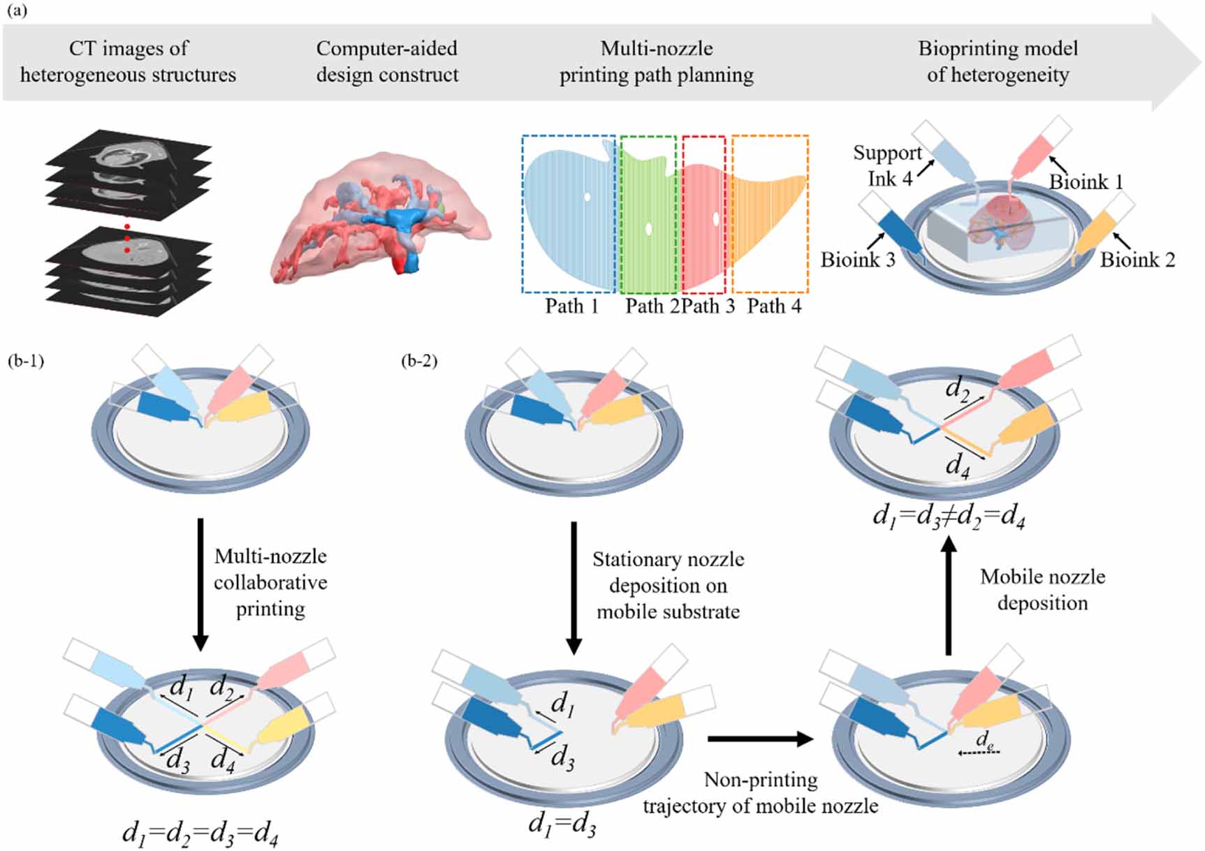 High-precision path planning for multi-material 3D bioprinting of ...