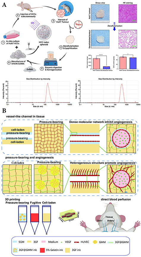 Vascularisation in 3D bioprinted models: emerging solutions engineering ...