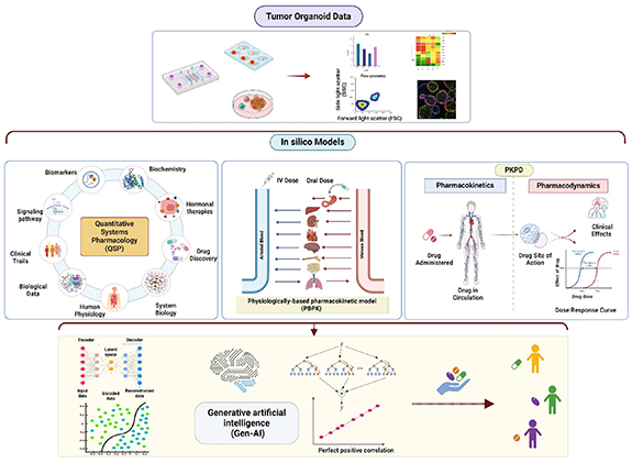 Tumor organoids on-a-chip and the role of AI in predictive oncology and ...