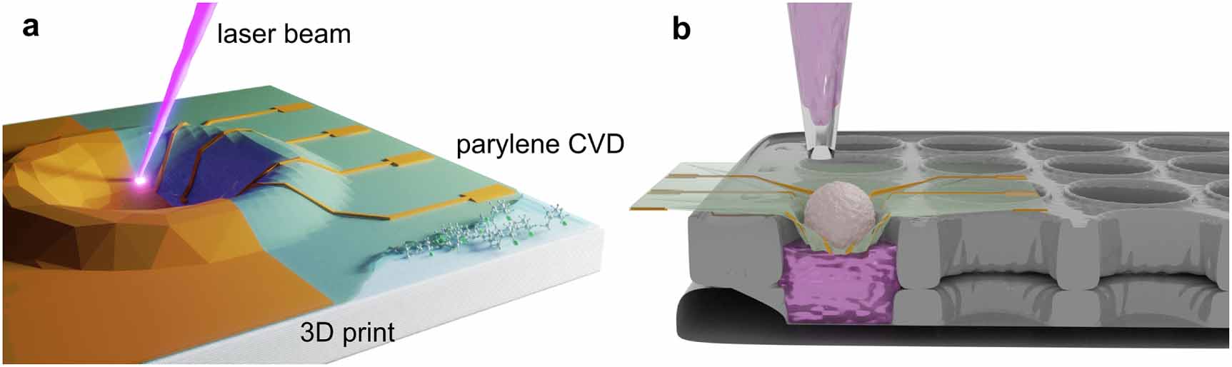 Rapid prototyping of a 3D well-shaped, porous, microelectrode array for ...
