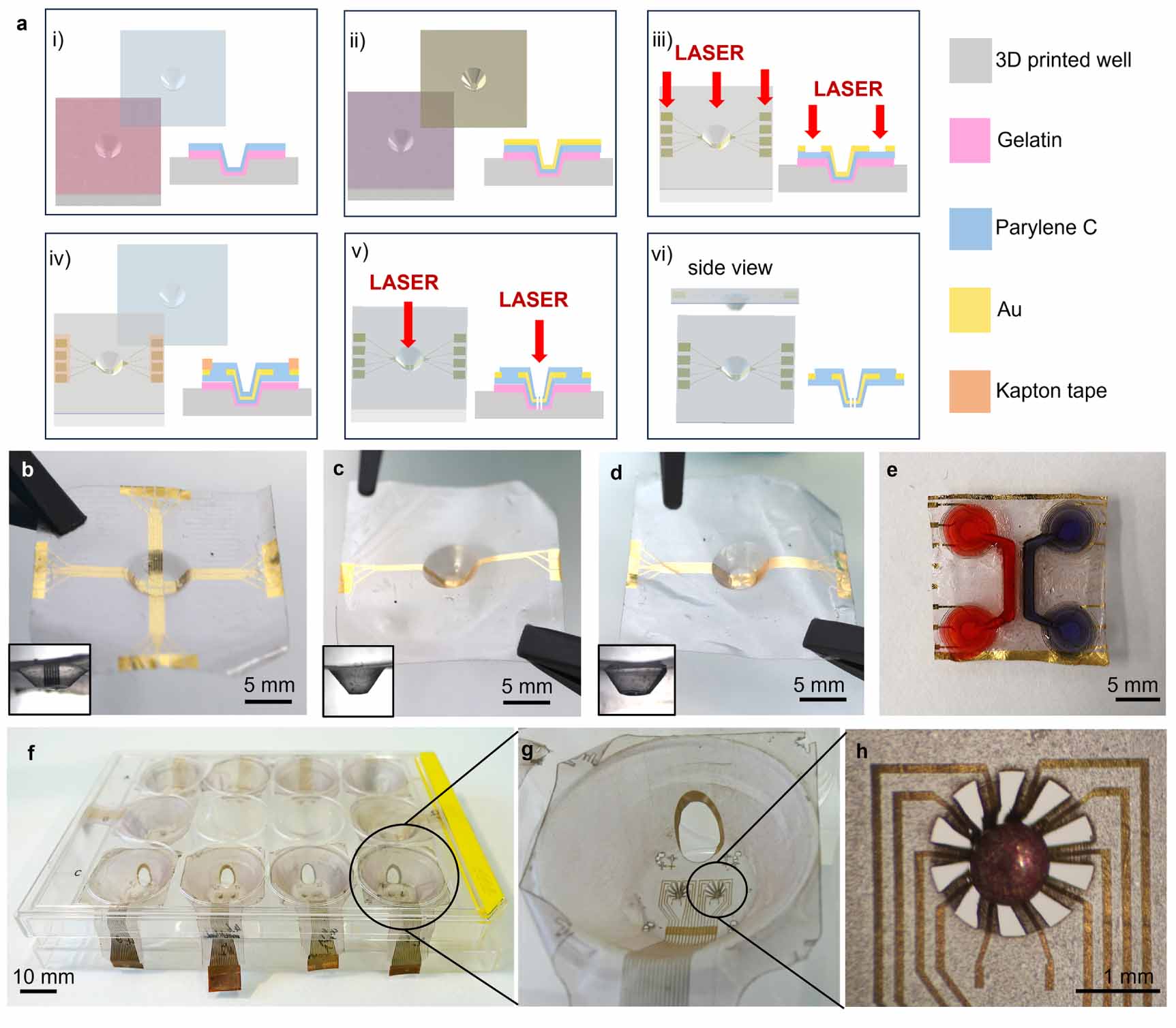 Rapid prototyping of a 3D well-shaped, porous, microelectrode array for ...