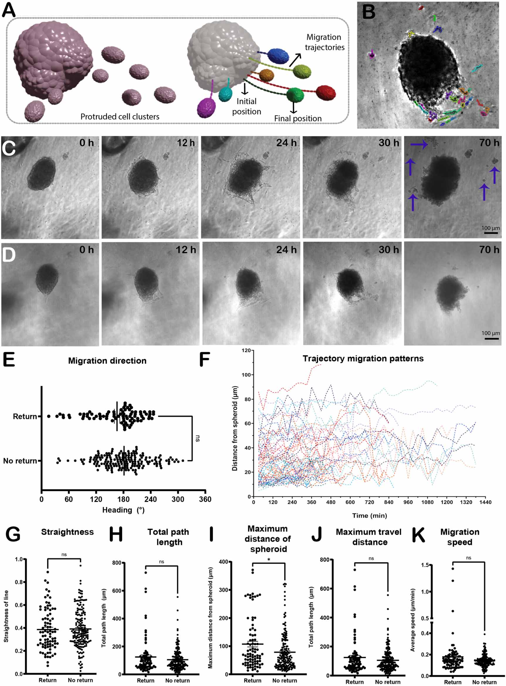 An automated pipeline for tracking and measuring cell spheroids ...