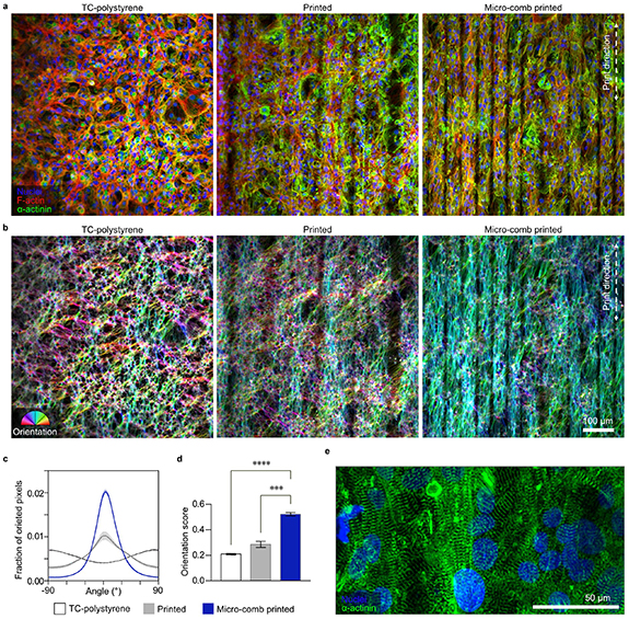 Micro Tissue Designs Micro-comb 3D printing: rapid fabrication of tissue-guiding substrates ...