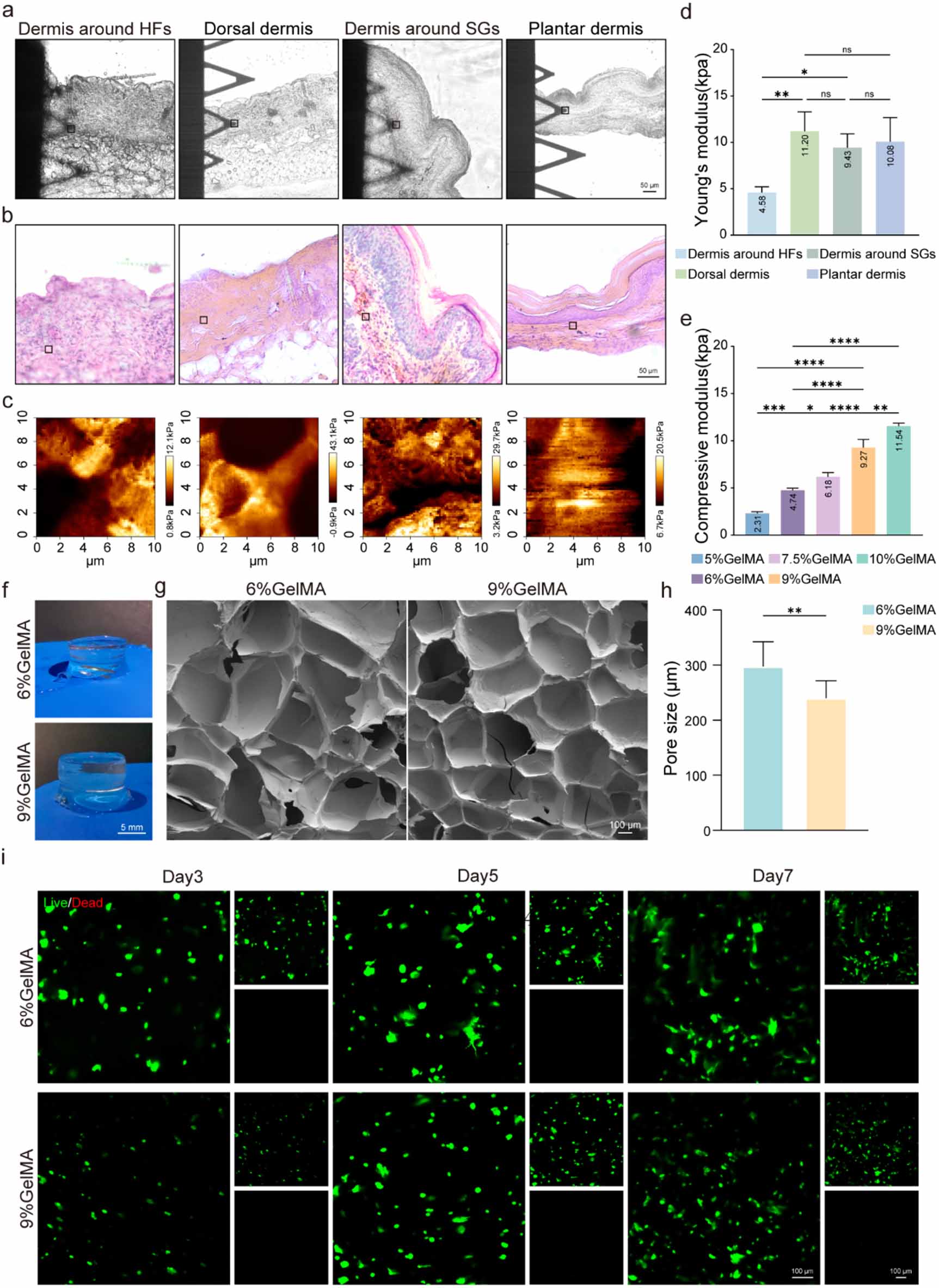Physicochemically guided modular assembly of a multi-appendage