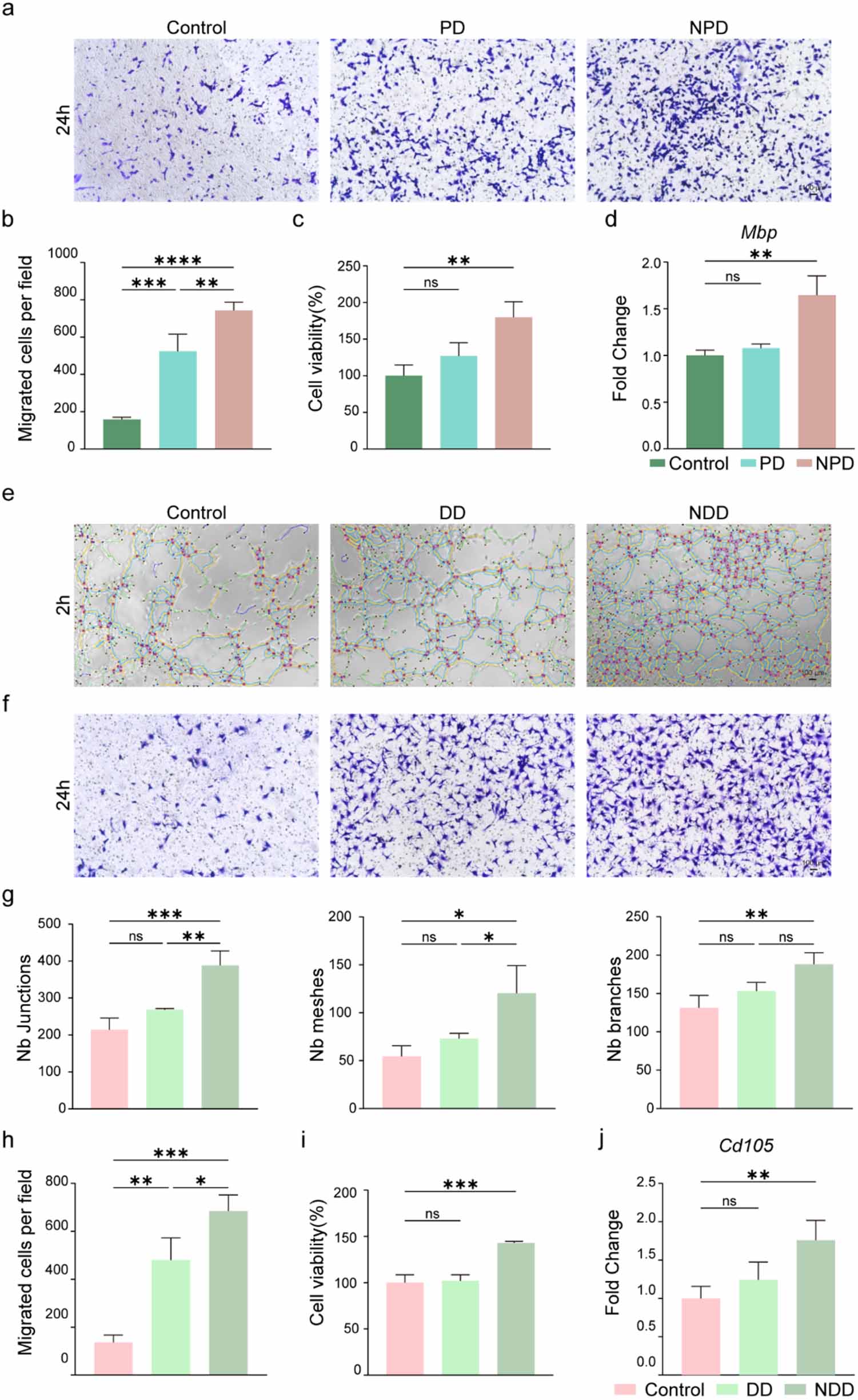 Physicochemically guided modular assembly of a multi-appendage skin ...