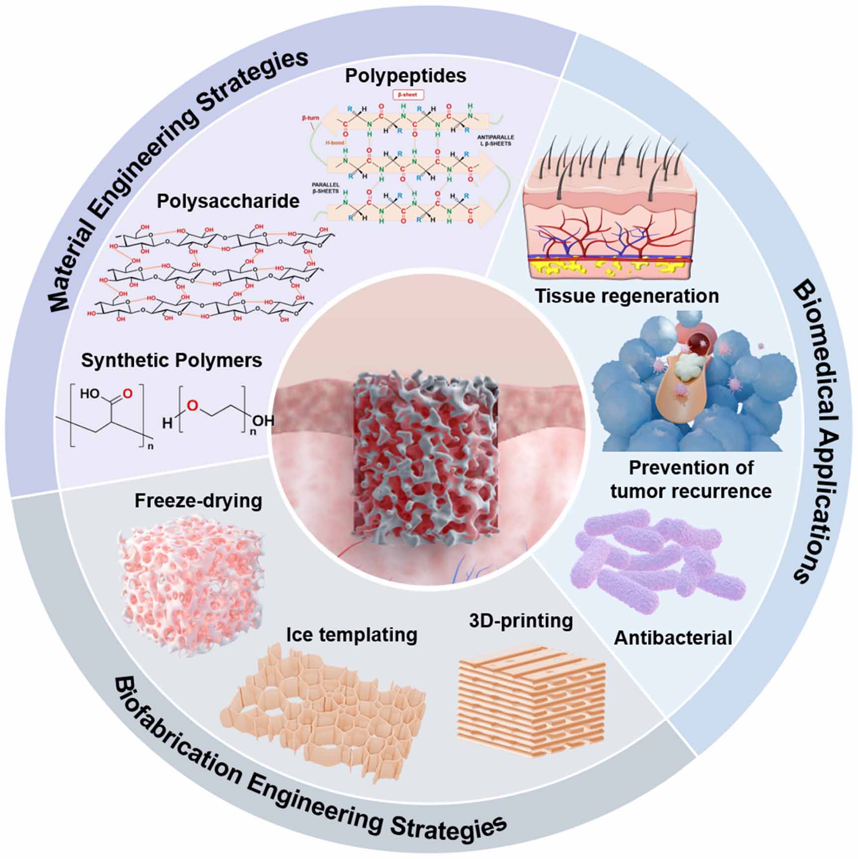 Advances in hemostatic sponges: from materials and biofabrication