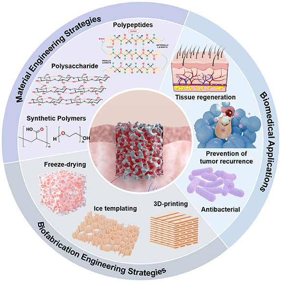Advances in hemostatic sponges: from materials and biofabrication