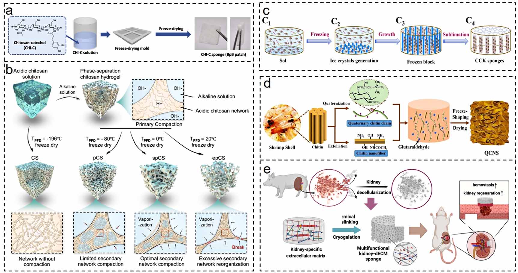 Advances in hemostatic sponges: from materials and biofabrication