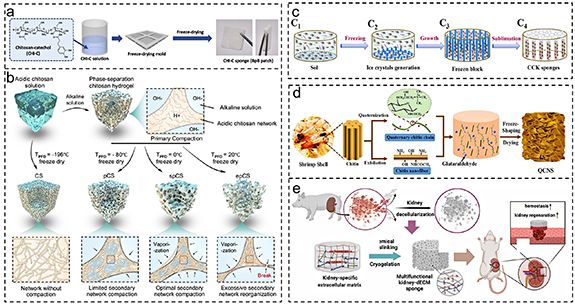 Advances in hemostatic sponges: from materials and biofabrication