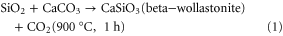 Equation (1)