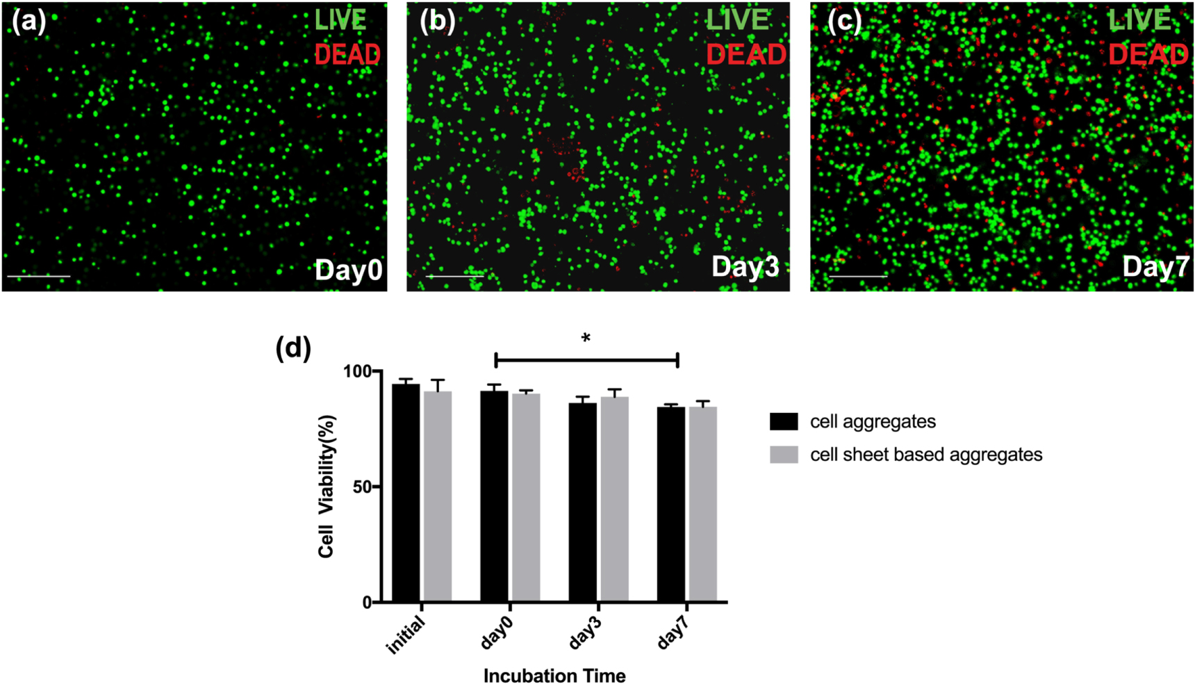 Cell sheet based bioink for 3D bioprinting applications - IOPscience