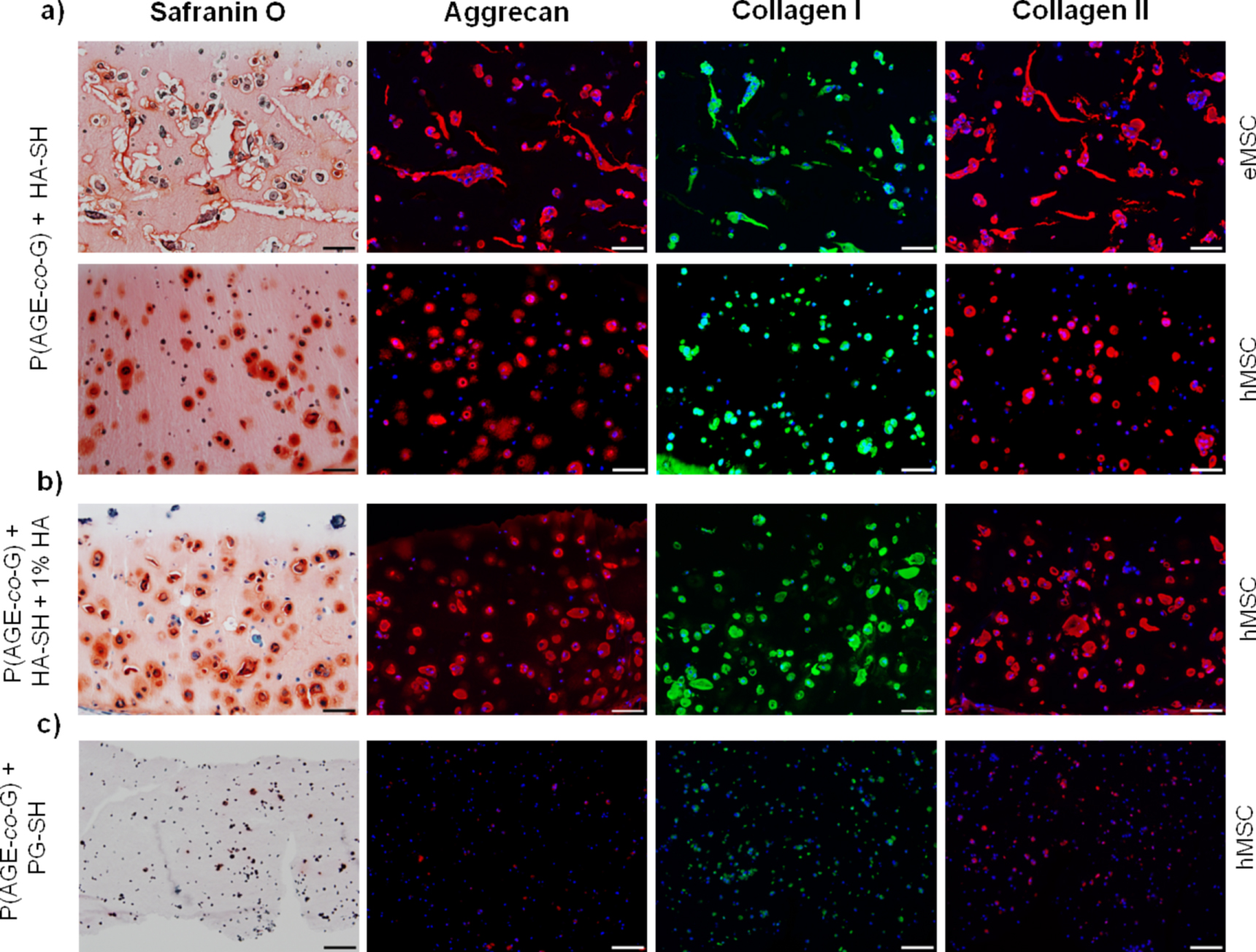Double printing of hyaluronic acid/poly(glycidol) hybrid hydrogels with