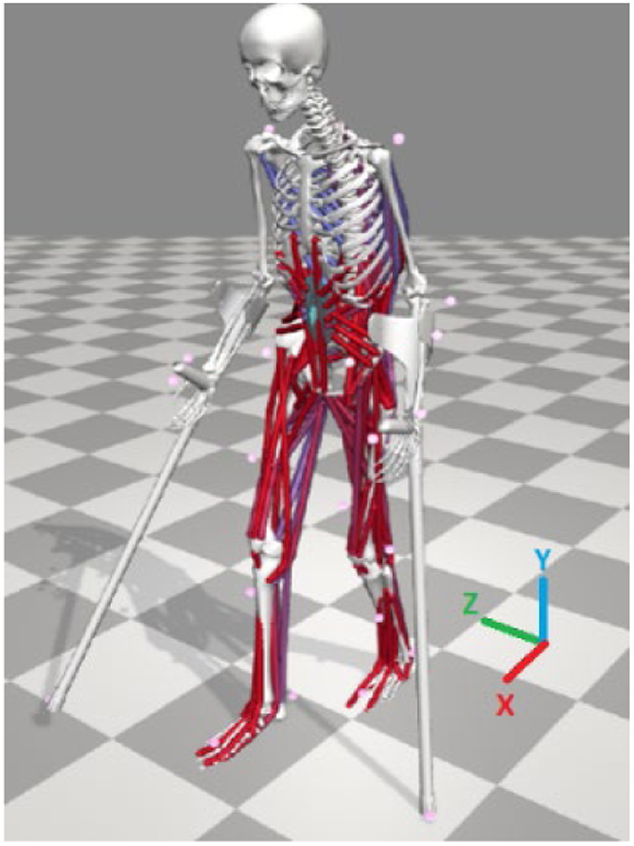 Opensim Inverse Kinematics Predicting ground reaction forces and center of pressures from ...