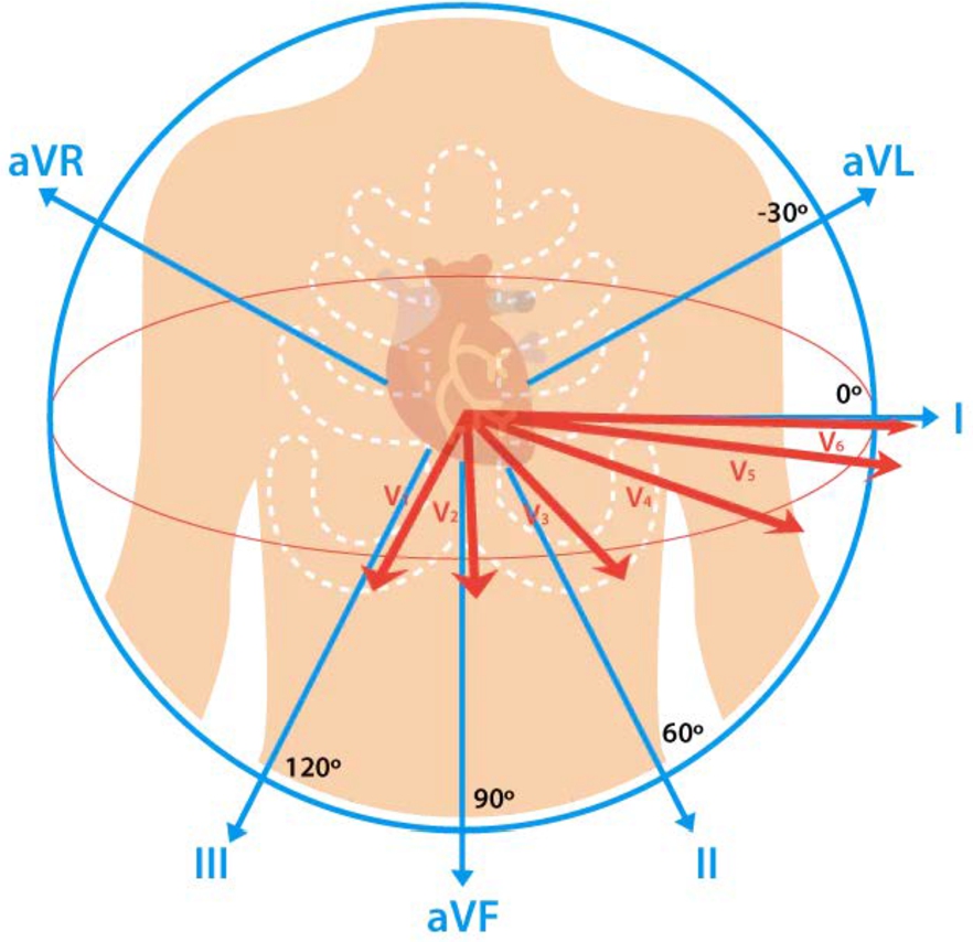 Reducing leads, enhancing wearable practicality: A comparative study of ...